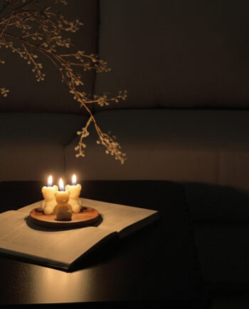 Teddy Bear Candle – Pack of 1 | Cute Decorative  Candle for Gift & Home Décor